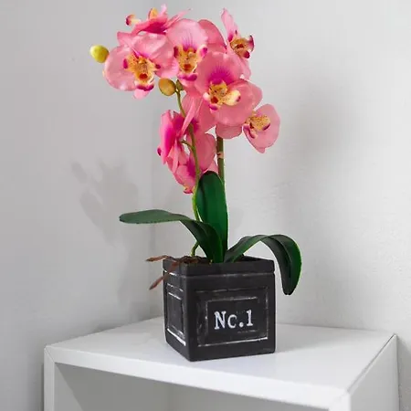 Miriam Costa De La Luz *