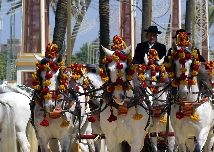 Miriam Costa De La Luz Херес-де-ла-Фронтера