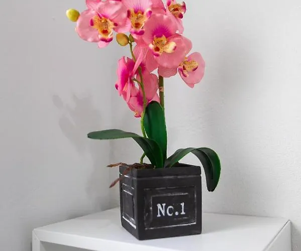 Miriam Costa De La Luz *